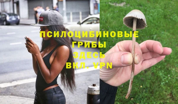 PSILOCYBIN Уссурийск