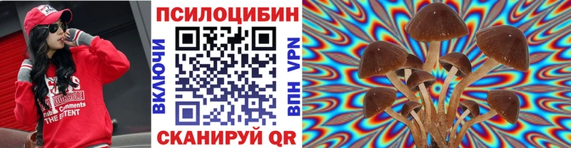 Псилоцибиновые грибы Psilocybe  Орёл 